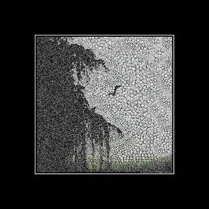 "From The Life Of The Birds"